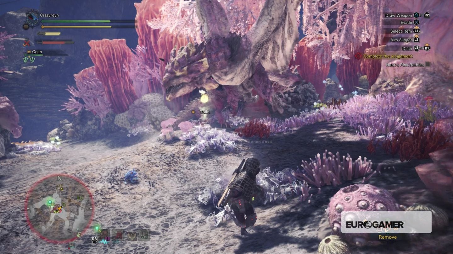 Monster Hunter World Search For Rathian Tracks Monster Hunter World - ??? Rathian Tracks and Pink Rathian strategy